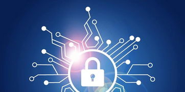 這個夏天，守護數字世界的六個安全小建議 | 聚焦網絡與信息安全軟件開發